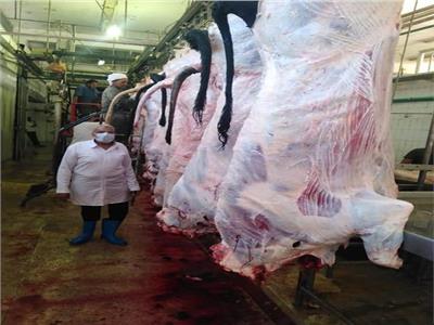  ذبح 4831 رأس ماشية بالمجازر خلال ثالث أيام عيد الأضحى