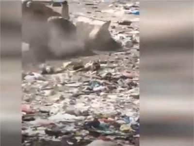 ردم نهر النيل بمخالفات القمامة بـ«لودر» مجلس مدينة زفتى  
