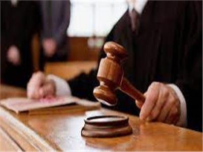   اليوم.. استئناف النيابة على براءة «سيدة المحكمة»