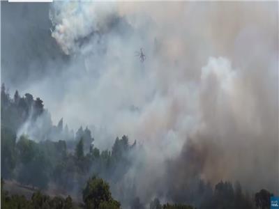 الحرائق تلتهم أحراش شبه جزيرة بيلوبونيز اليونانية| فيديو