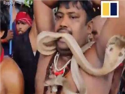 «بالرقص ودق الطبول».. الهنود يحتفلون بمهرجان الأفاعي | فيديو 