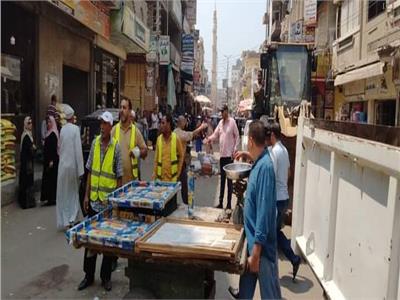 رفع 250 حالة إشغال طريق مخالفة بمركزي دمنهور وأبوحمص| صور