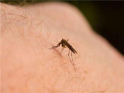 شركة ألمانية تعمل على تطوير لقاح آمن للوقاية من الملاريا