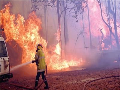 «إيطاليا»: رجال الإطفاء أخمدوا أكثر من 800 حريق جنوب البلاد