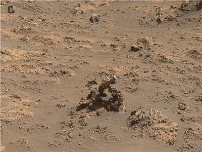 «دودة المريخ».. تثير الجدل وتفتح باب الشكوك | فيديو  