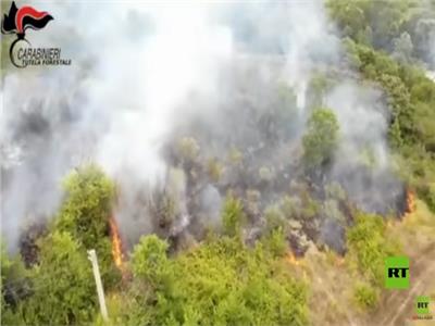 كاميرا توثق لحظة إشعال حريق متعمد في منطقة ريفية بإيطاليا| فيديو
