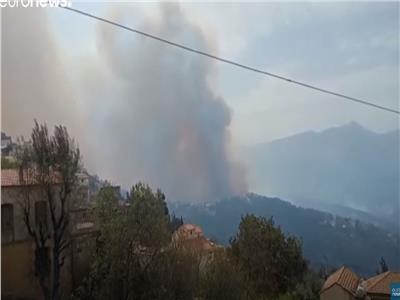 7 قتلى جراء حرائق الغابات بولاية تيزي في الجزائر| فيديو