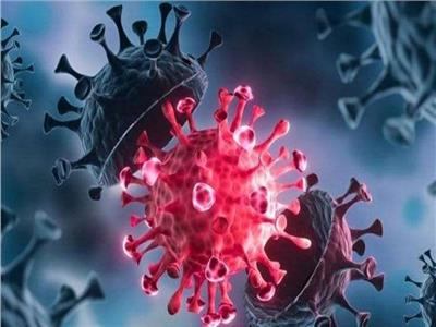 «يسبب الحمى»..الصحة العالمية تكشف تفاصيل جديدة عن فيروس «ماربورج»|فيديو