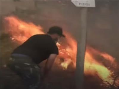 جندي جزائري: «نحارب النيران.. وقمنا بإجلاء كبار السن» | فيديو