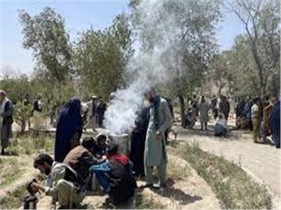 «طالبان» تسيطر على على عواصم الولايات الأفغانية