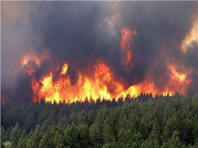 أفضل مداخلة| «باحثة سياسية» تكشف مأساة ضحايا حرائق الغابات بالجزائر