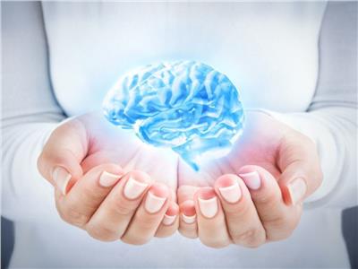 دراسة حديثة تكشف دور «الأطعمة الملونة» في تعزيز صحة الدماغ