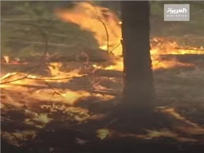 حرائق غير مسبوقة في «أسقع» منطقة بروسيا| فيديو