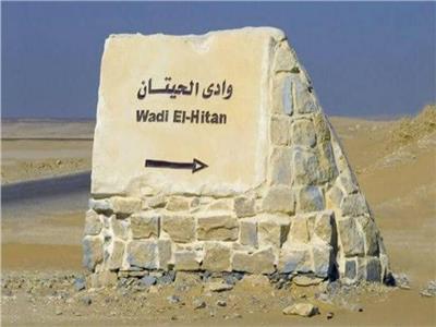 ثمرة لإعادة التدوير.. أول طريق أخضر في مصر 