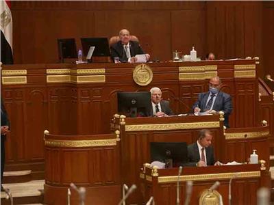 برلماني: عودة البعثة المصرية من أفغانستان يعكس قوة الدولة