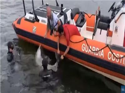 خفر السواحل الإيطالي ينقذ دلفينا رضيعا من الموت | فيديو
