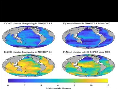 دراسة: 95٪ من محيطات الأرض ستتغير بنهاية القرن بسبب المناخ