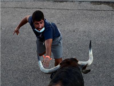 منذ بداية الجائحة.. قرية إسبانية تستضيف أول مهرجان لركض الثيران | صور