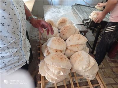 غلق مخبز بلدي في الإسكندرية خالف الاشتراطات التموينية