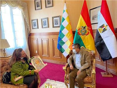 وزير الخارجية البوليفي والسفيرة المصرية يناقشان تعزيز العلاقات بين البلدين