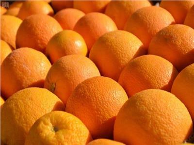 أسبانيا تؤكد مصر تتفوق على جنوب أفريقيا فى تصدير البرتقال للاتحاد الأوروبي
