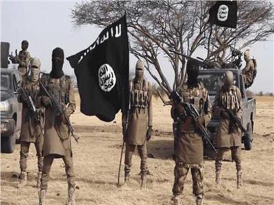 مقتل 16 جنديا نيجيريا في كمين لداعش