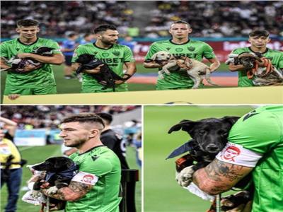  لهذا السبب.. لاعبو «دينامو بوخارست» يحملون كلاباً داخل أرضية الملعب
