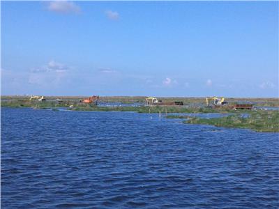 بحيرة المنزلة: إزالة 35 ألف فدان تشمل تعديات وورد نيلي | فيديو