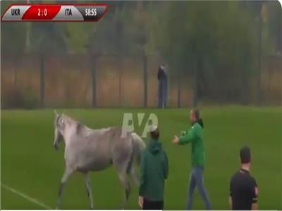 كلاب وأحصنة تقتحم ملعب مباراة إيطاليا وأوكرانيا.. فيديو