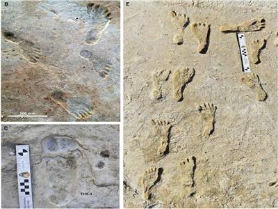 بالصور | العثور على أقدم آثار أقدام بأمريكا الشمالية