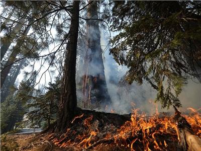 احتواء حريق غابات كاليفورنيا يؤدي إلى نزوح الآلاف