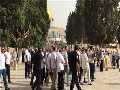 مئات المستوطنين يقتحمون باحات المسجد الأقصى بحماية شرطة الاحتلال