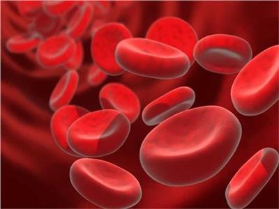 «جلطة مفيدة».. موافي يوضح دور الصفائح الدموية في وقف نزيف المصابين بالجروح |فيديو