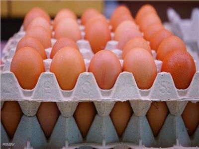 ارتفاع سعر كرتونة البيض في الأسواق لـ53 جنيها الأحد 3 أكتوبر 