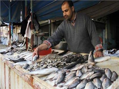إستقرار أسعار الأسماك فى سوق العبور.. اليوم الإثنين 4 أكتوبر