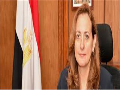 شريفة شريف : 5 برامج أساسية في التعاون بين مصر ومنظمة التعاون الاقتصادي