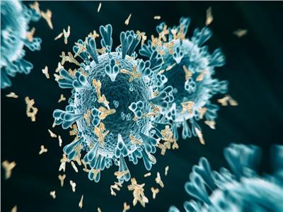 اكتشاف أقوى جسم مضاد لـ«فيروس كورونا»