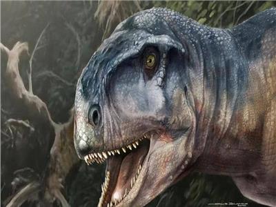  عاش قبل 85 مليون سنة..العثور على جمجمة "الديناصور المرعب "