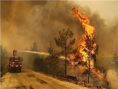 النمسا: وضع حرائق الغابات بمدينة هيرشوانج مقلق