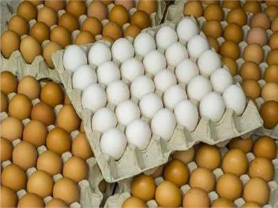 التموين تتوقع انخفاضًا جديدًا في أسعار البيض