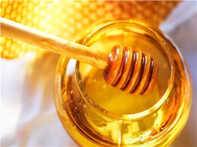 خبيرة زراعية: عسل النحل يحتوي على 200 مادة غذائية مختلفة