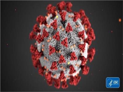 استشاري مناعة: تغير المناخ يتسبب في ظهور فيروسات جديدة | فيديو