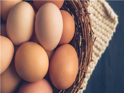 انخفاض أسعار البيض في المزارع اليوم 6 نوفمبر