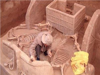 اكتشاف 29 مقبرة قديمة و90 قطعة آثار في شرقي الصين