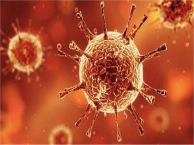 عالم روسي يكشف نوع الفيروسات الأكثر خطورة على البشرية