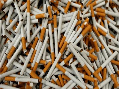 مبيعات الشركة الشرقية للدخان.. 67 مليار سيجارة خلال عام 