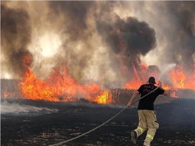 إخلاء عشرات المنازل في إسرائيل بسبب الحرائق