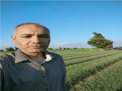 12 توصية هامة لمزارعي «محصول البصل»