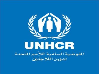 «الأمم المتحدة»: اختيار مصر لاستضافة قمة المناخ يعكس المكانة الريادية | خاص