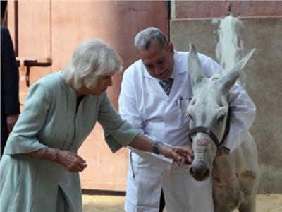 صورة تذكارية لـ«الأميرة كاميلا» خلال زيارتها مستشفى بروك للحيوانات